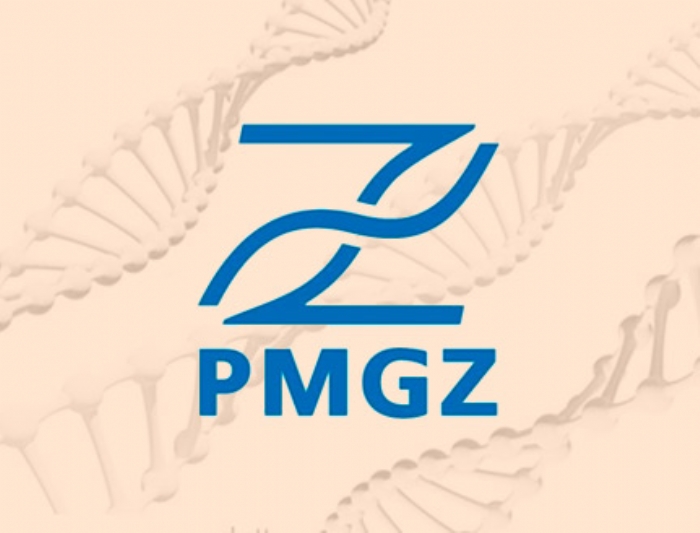PMGZ